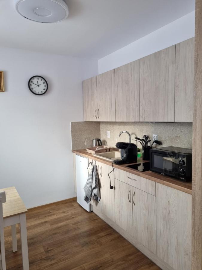 Apartmany U Petra Jeseník Екстериор снимка